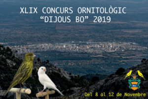 Cartell concurs Dijous Bo 2019